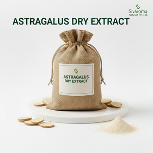 Polvo Herbal de Astrágalo Procesado con Cuidado para Fabricantes que Priorizan la Estabilidad del Ingrediente y la Apariencia Limpia - Product Image 1