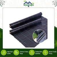 Géotextile anti-herbe résistant aux déchirures et stabilisé aux UV, couverture de sol tissée en PP pour l'agriculture, l'aménagement paysager et les pépinières