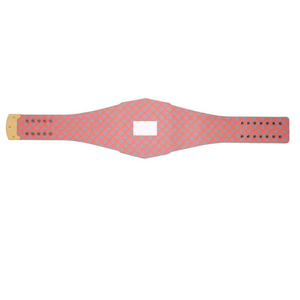 Ceinture de championnat des Dolphins de Miami inspirée des Bengals, personnalisée pour la lutte professionnelle, ceinture de titre de haute qualité et de poids lourd - Product Image 2
