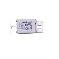 Fusible à semi-conducteurs F170M1759 200A 750V DC à haute vitesse, taille 000, corps carré, à vis, pour voiture électrique minière EV