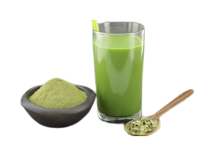 Poudre de Moringa en vrac pour les usines de boissons et la fabrication industrielle de produits botaniques – Poudre de feuilles de Moringa biologique de qualité supérieure - Product Image 1