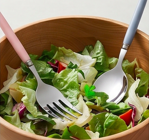 Ensemble de couverts minimalistes avec manches en plastique colorées, couteau, fourchette et cuillère en acier inoxydable, compatibles lave-vaisselle, pour les fêtes et la table - Product Image 2