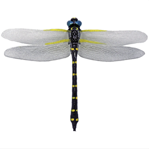 Figura de Libélula Realista para Control de Plagas, Repelente de Insectos sin Químicos para Exteriores, Adorno de Jardín - Product Image 1