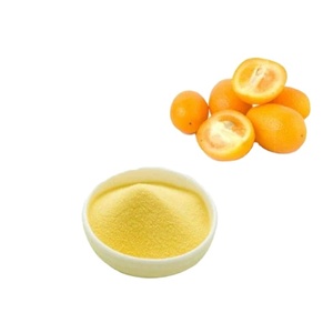 Pure Kumquat Extract <b>Powder</b> No Fillers Best Flavor for Food and <b>Drink</b> Applications Bulk Supply - Product Image 6
