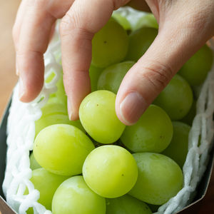 Korean Knock Knocks Co. LTD Muscat frais sans pépins de raisin vert de qualité supérieure 4kg par carton - Product Image 4