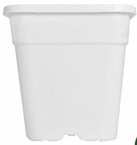 Japon Porihachi Prestella Produit Premium pour la distribution en gros et au détail - Product Image 4