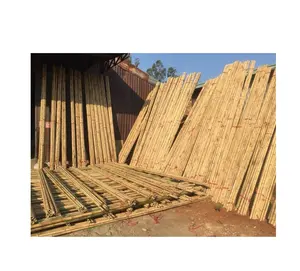 越南竹材建筑材料/天然竹材园艺木桩/黄竹工艺材料接触0084587176063 Sandy