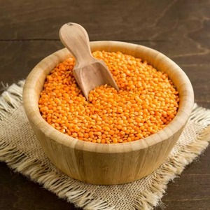 Lentilles Rouges Naturelles Riches en Protéines, Lentilles Rouges Fraîches Séchées en Vrac, Lentilles de Qualité Export pour Grandes Commandes - Product Image 2