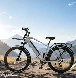 Pneu de 26*2,1 pouces, corps en acier au carbone, moteur sans balais, batterie au lithium 48V 10,4ah, double siège, vélo de sport électrique urbain - Product Image 6