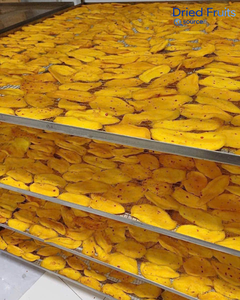 Rodajas de Mango Seco Picante de Vietnam, OEM/ODM, Marca Privada, Venta al por Mayor, Snack de Tien Giang - Product Image 4