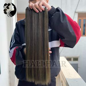 Vietnamien Remy trame droite Extensions de cheveux humains 100% Premium Machine Double trame toutes les couleurs Super Double extrémités dessinées-Hali - Product Image 5