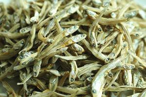 Anchois Séchés Écologiques de Qualité Supérieure IQF – Meilleure Vente, Riche en Protéines, Idéal pour Soupes et Bouillons – Prix Export - Product Image 3