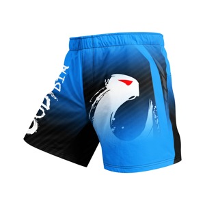Shorts MMA pour hommes, imprimé artistique, taille élastique, entraînement en salle de sport, kickboxing, légers, séchage rapide, colorés, haut de gamme pour arts martiaux - Product Image 1