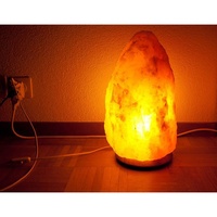 Lampe en sel rose de l'Himalaya sculptée de haute qualité, artisanale, Feng Shui, élégance naturelle par Sian Enterprises