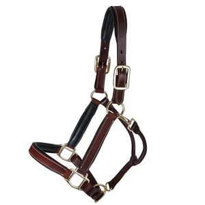 Cabestro de cuero genuino premium para caballo, ajustable, con herrajes de latón, acolchado, para entrenamiento ecuestre y equitación en establos. - Product Image 2