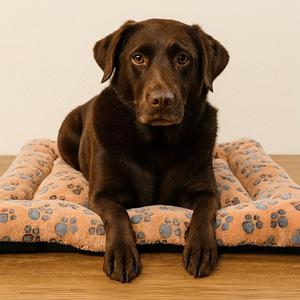 Tappetino per Cani Yommy con Base Antiscivolo in Morbido Tessuto Flanella Disponibile in 3 Misure M (57x75 Cm) L (75x95 Cm) XL (88x112 Cm) per Letti per Animali - Product Image 3