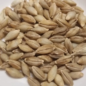 Cebada de Grano Natural para Alimentación Animal Procesada Bajo Condiciones Higiénicas con Empaque Resistente para Suministro de Alimentos al por Mayor - Product Image 6