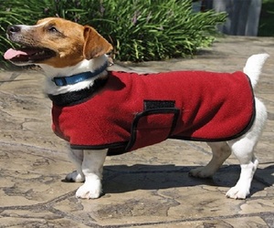 Abrigo de Invierno para Perro, Diseño Moderno y Ecológico, de Algodón, de Lujo, para Dachshund, Wiener, Dackel, Bassotto, Venta al Por Mayor - Product Image 4