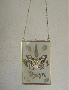Elegant Brass Metal and Glass Floating <b>Picture</b> <b>Frame</b> for Dried Flowers Hanging Photo <b>Frame</b> Wall Decor for Interior Design Gift - Product Image 1