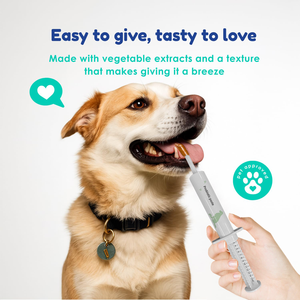 Pâte nutritive <span class=keywords><strong>pour</strong></span> la santé digestive et de l'estomac des chiens et des chats, aide les estomacs sensibles - Product Image 3