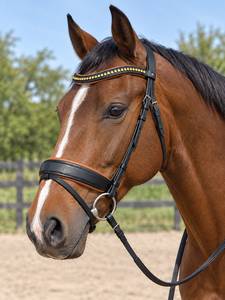 Brida de cuero genuino premium para caballo con frontal de cristal y narquiler acolchado suave, brida de doma inglesa con matchi - Product Image 1