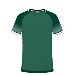 Maillots de football/soccer personnalisés et ensembles d'uniformes d'équipe 100% polyester col en V manches courtes Fournisseur en gros OEM Fabricant - Product Image 1