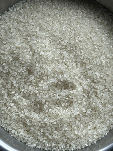 Arroz Japonica de Grano Redondo de Primera Calidad, 5% de Grano Partido, Arroz de Alta Calidad para Sushi, Suministro a Granel desde Vietnam |   VILACONIC - Product Image 2