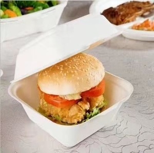Disposable Sugarcane Clamshell <b>Container</b> for Burgers and Street Food 6x6 Inches Meal Boxes Clamshell Sandwich Shops and Food Box - Product Image 1