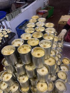 Rodajas de Piña Enlatadas Dulces Doradas de la Mejor Calidad, Venta al por Mayor de Fábrica - Product Image 3
