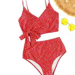 Conjunto de Bikini de 2 Piezas para Mujer, Cuello en V, Nailon y Algodón, Secado Rápido, Transpirable, Ecológico, Sexy, Ropa de Playa, OEM Personalizado - Product Image 5