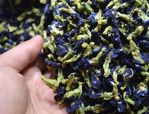Fleur de pois papillon séchée biologique (100%) pour infusion ou boisson, 10 kg, durée de conservation de 2 ans, fabriqué au Vietnam, Mme Diana VIETDELTA - Product Image 1