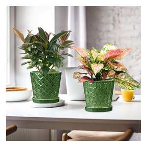 Maceta Biodegradable de Corcho para Suculentas, Decoración Moderna para el Hogar - Product Image 3