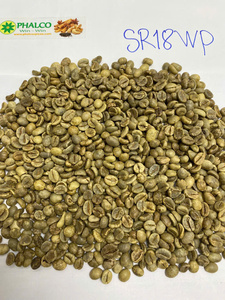High Quality PHALCO Robusta Green Coffee <b>Beans</b> Grade 1 Screen 16/18 Vietnam Best Price Ready for Export in Jute <b>Bag</b> Packaging - Product Image 1