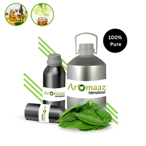 Pure Henna <b>Essential</b> <b>Oil</b> 100% Steam Distilled Long Lasting Alcohol-Free Herbal Fragrance Seeds ISO9001 Certified 36 Months Shelf - Product Image 2