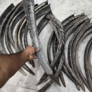 ชิ้นงานทำมือจากเขาควายธรรมชาติพร้อมปลายเขาแบบยาวสำหรับงานตกแต่งและงานศิลปะในราคาขายส่ง - Product Image 2