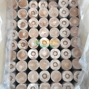 Venta al por mayor de pellets de coco ecológicos para germinación, turba de coco Jiffy, medio de cultivo para viveros e hidroponía de Vietnam - Product Image 4