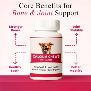 Friandises à mâcher molles au calcium biologique de haute qualité, complément alimentaire naturel pour chiens et chats, favorise des os et des dents solides, favorise la croissance rapide des jeunes animaux. - Product Image 2