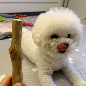 QM GLOBAL Juguete para Perros de Madera de Café Pura, Ecológico, Duradero, Clásico, para Animales Pequeños de Interior, Sin Aditivos - Product Image 3