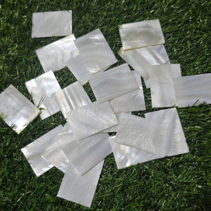 Pièces de nacre naturelle de luxe |   Matériaux de pierres précieuses de qualité supérieure pour la conception de bijoux et les produits décoratifs - Product Image 1