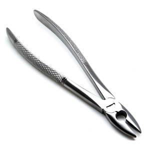 OEM High Quality Custom Logo Dental Forceps Manual Steel Product with Basis of Surgical Instruments by <b>Blush</b> surgical - Product Image 4