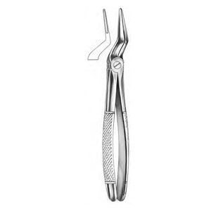Forceps d'extraction dentaire pour adultes, utilisés pour extraire les dents molaires mandibulaires - Product Image 6