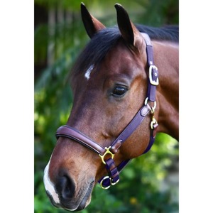 High Quality English Horse Head Collar Durable <b>Comfortable</b> Halter for Professional Daily Training Horse Head Collar OEM Service - Product Image 5