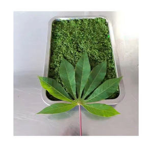 Meilleures ventes de feuilles de manioc congelées pour la cuisine africaine, fournisseur en gros pour l'exportation - Product Image 3