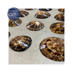 [MEILLEURES VENTES] |   Fourniture de flocons de coquillages bleus écrasés |   Matières premières pour la décoration de table en résine, Vietnam - Product Image 4