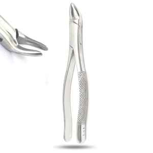 Pinzas de Extracción Dental de Acero Inoxidable 101, Instrumento Quirúrgico Manual para Extracción de Dientes Deciduos y Bicuspides Superiores e Inferiores - Product Image 2