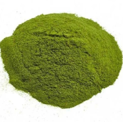 Hương vị vượt trội bột cỏ lúa mì nguyên chất có sẵn trong các đơn đặt hàng số lượng lớn từ sản xuất trực tiếp với dịch vụ dán nhãn - Product Image 2