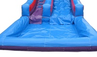 Toboggan gonflable commercial avec piscine pour les locations à vendre