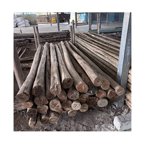 Eucalipto Desbastado de Plantaciones Sostenibles para el Mercado Global de Madera - Product Image 5