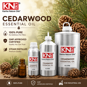 100% Pure Cedarwood Essential Oil Premium Cedrus Deodara Bulk Direct Factory Exporter Organic Certified Worldwide Exporter - Product Image 2