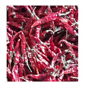 Vietnam Dried Chili Pepper Supplier For Wholesale <b>Spice</b> Trading And Commercial Food <b>Production</b> - Product Image 5